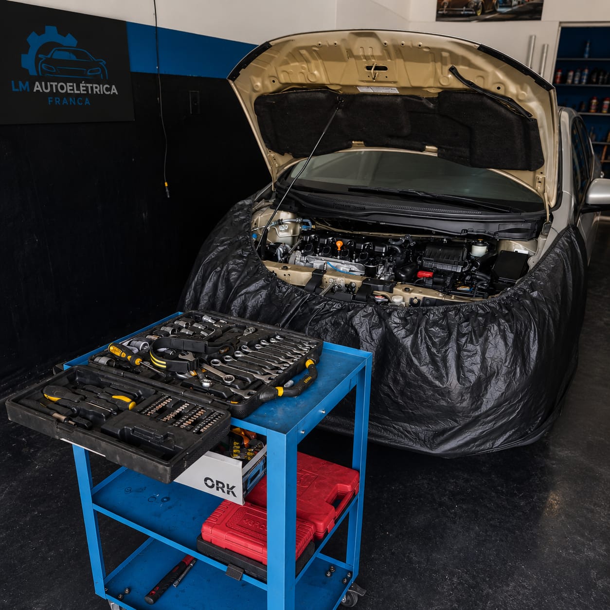 Oficina LM Autoelétrica